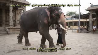 Download lagu காரமடை ஸ்ரீ ரெங்கநாதஸ்வாமி தேர்த்திருவிழா சிறப்பு பாடல் , mp3