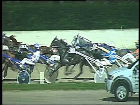 Trotto 25/11/2016 - 7ª corsa