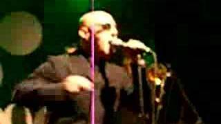 "Be young,be foolish,but be happy" -G.Palma&the Bluebeaters