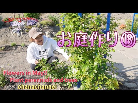 春に庭を色鮮やかにするには、多年草と一年生植物のうち、9月にどの花を植えるべきでしょうか?  庭園