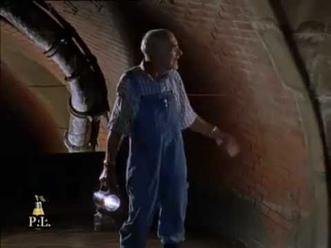 Löwenzahn - Peter geht in den Untergrund