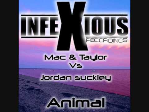 Mac and Taylor vs Jordan Suckley - Animal (Original Mix)