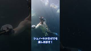 台湾の離島「緑島」🏝️透明な海とウミガメ、海底温泉、モアイも!?