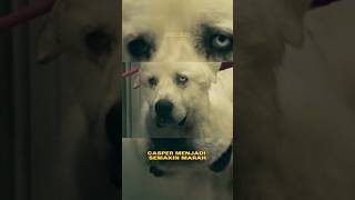 Download lagu Kisah seekor Anjing vs 11 Coyote ! #darklogic mp3 Download lagu Kisah seekor Anjing vs 11 Coyote ! #darklogic mp3