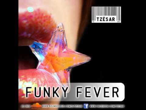 TZESAR - Funky Fever (Original Mix) / new disco house 2012