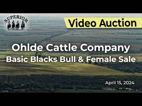 Ohlde Cattle Company Annual Bull Sale