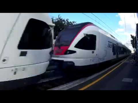 Tilo trains in Desio station