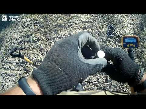 117#na zachodzie bez zmian/wielkopolskie wykopki