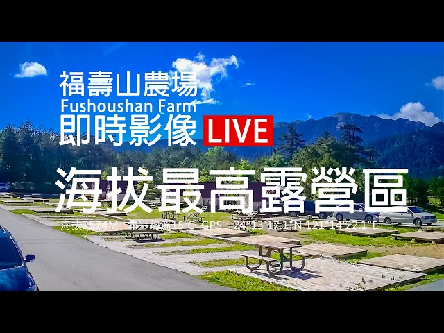 福壽山農場【最高海拔露營區】即時影像