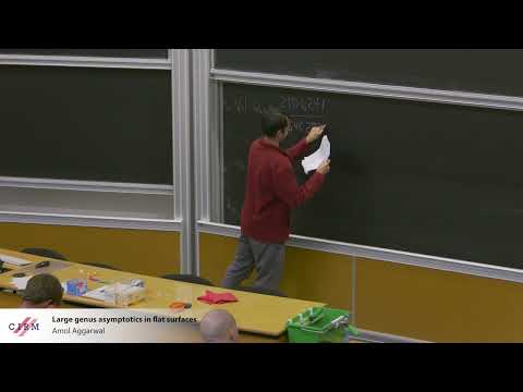 Amol Aggarwal: Large genus asymptotics in flat surfaces