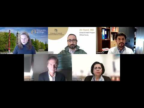 WSA Webinar - How does climate change affect stroke risk?