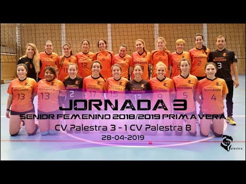 CV Palestra 3 - 1 CV Palestra B 28/04/2019 set 3