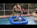 People Chose CHAOS AFV S Funniest Fails