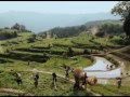 Jet Li Fearless Soundtrack 18 Children Play With Dragonfly Scene