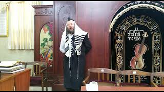 הלכה יומית | ברכה על תות שדה | הרב צבי חלמיש שליט"א