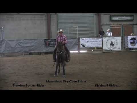Marmalade Sky - Open Bridle-Brandon Buttars-URCHA