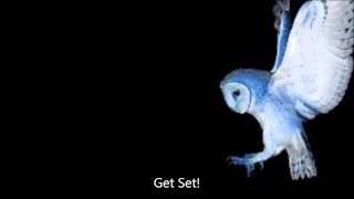 Deftones - Diamond Eyes - Lyrics