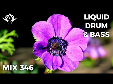 Liquid Drum and Bass Mix 346