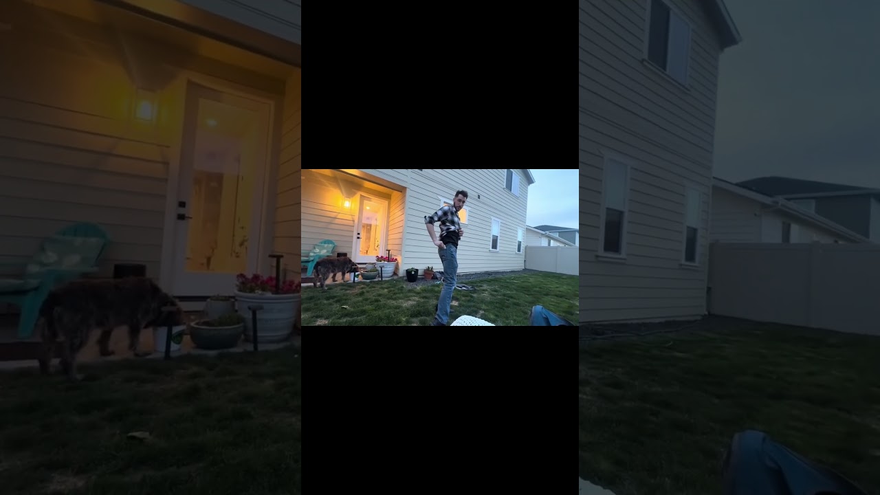 Promotional video thumbnail 1 for Sean Cross Magic