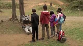 Download lagu Ultraman ginga vs Dark zagi mp3