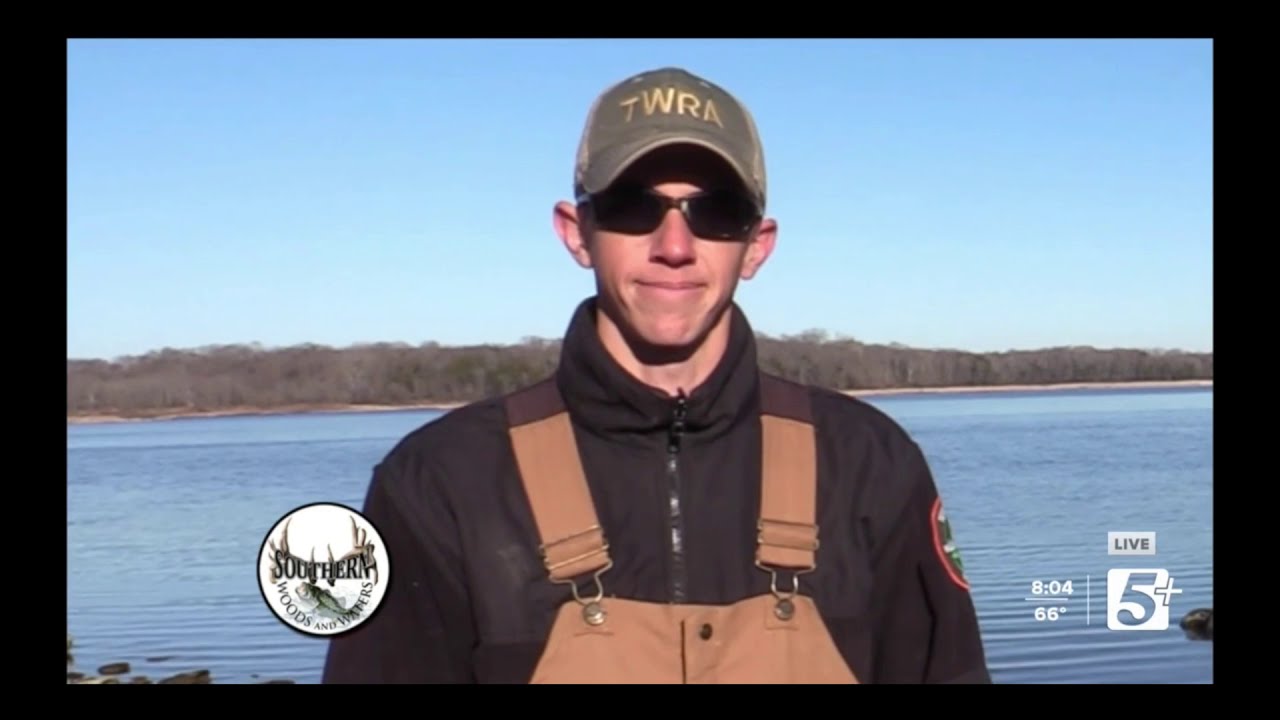 Fish Management with TWRA at Stewarts Creek Recreation Area