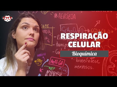 Aerobic Cellular Respiration: Glycolysis, Krebs Cycle, and Oxidative Phosphorylation 🐵
