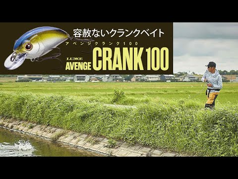 喰わせのクランクベイト「アベンジクランク」