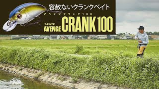 アベンジミノー 110F | がまかつ アベンジミノー 110F | がまかつ