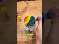 Bubble Rainbow Experiment 🫧