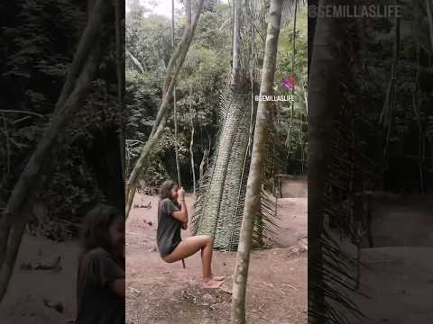 Amazon Rainforest Exploration 2026: Volunteering in Puerto Inca, Huánuco | Semillas Life NGO