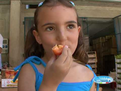 Dalla Terra alla Tavola - Az. Agr. Perassi (Barge)