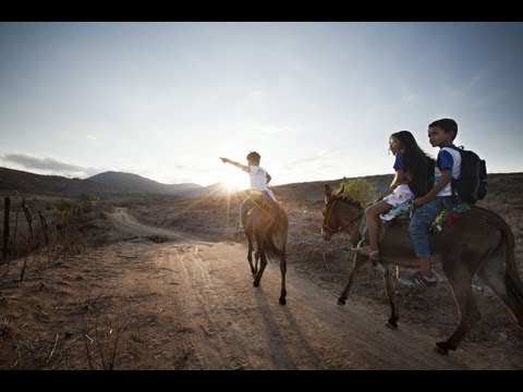 A look at « Journeys to school », around the world