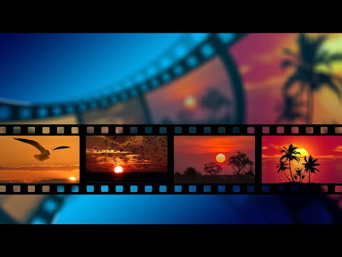 Sunsets n' Corvettes - Sam Kramer