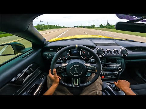 The 8,000 RPM Experience - Shelby GT350 POV *RAW SOUND*