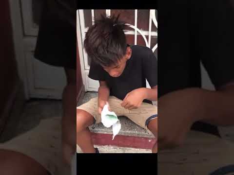 El kende de cayo hueso