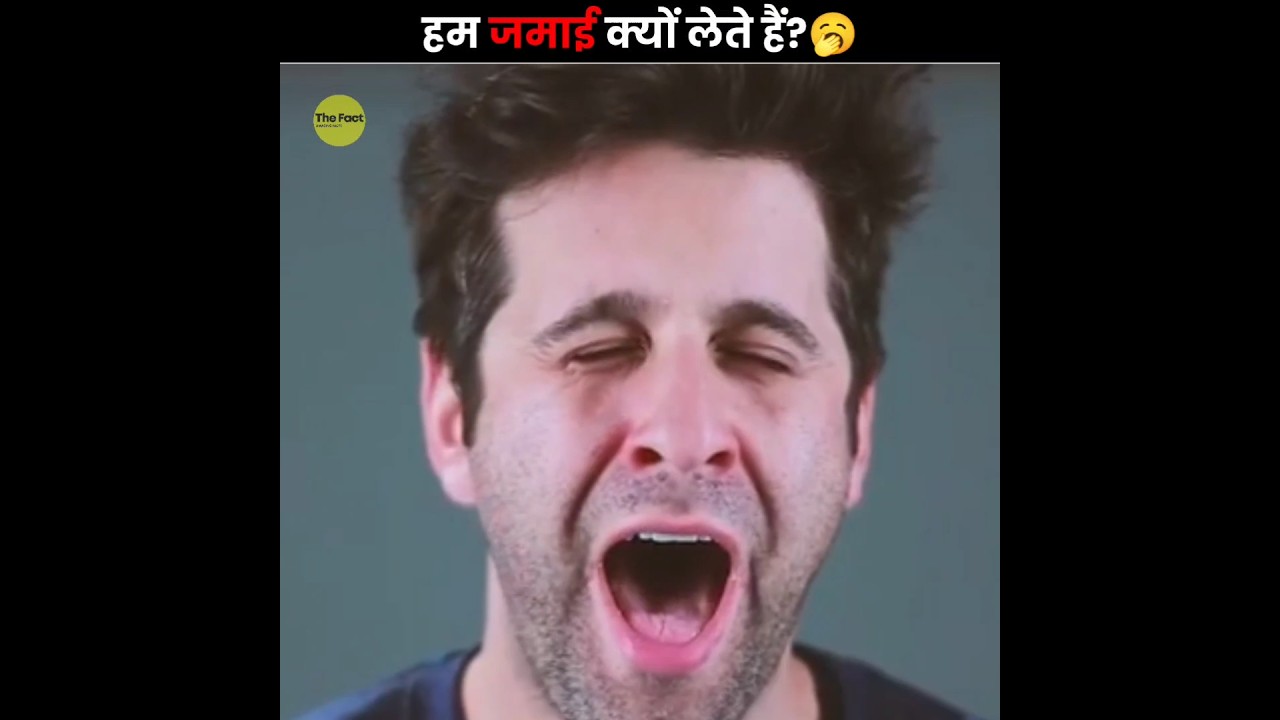 Why Do We Yawn? 🥱
