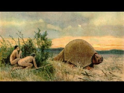 a paraziták eltávolítása a testből