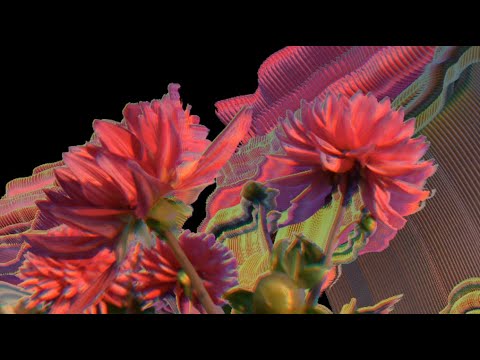 DYR - Mondial Cosmos