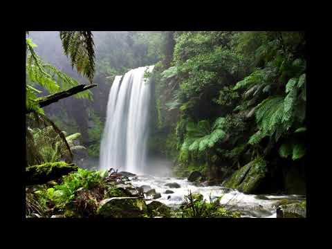 KECAPI SULING SUNDA DENGAN SUARA ALAM 1 JAM - ONE HOURS INDONESIAN  TRADITIONAL MUSIC