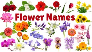 Learn Flowers Name for Kids | Flowers Name in English | flowers name with pictures #flowers