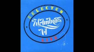 Wolfgang Ambros - Selected Live - Famile Pingitzer (Rapid vs Gramatneusiedl)