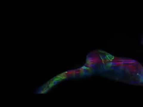 Explicit Verbal - Vacation Ft. Yomie (Official Lyrics Video)