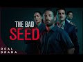 The Bad Seed S1E3 | Crime Series Based On Chartlotte Grimshaw Novels (2019) | Real Drama