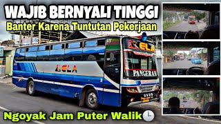 Download lagu Wajib Bernyali Tinggi ❗ Banter Karena Tuntutan Pekerjaan ❗| trip RELA ' Pangeran ' mp3 Download lagu Wajib Bernyali Tinggi ❗ Banter Karena Tuntutan Pekerjaan ❗| trip RELA ' Pangeran ' mp3