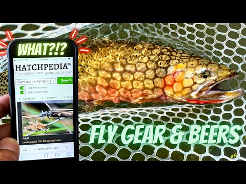 Matching the Hatch Has NEVER Been Easier - How to Catch More Fish w/This New Fishing App