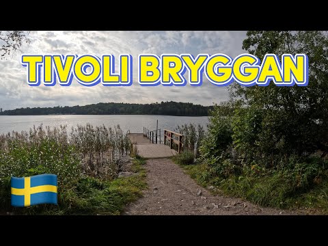 Beach in Bergshamra, Solna #146