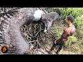 The Deadly Thermal Shift Scene AFTER EARTH Jaden Smith Will Smith
