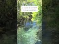 Therapy Session At Silver Springs State Park In Ocala Florida With My Family ️