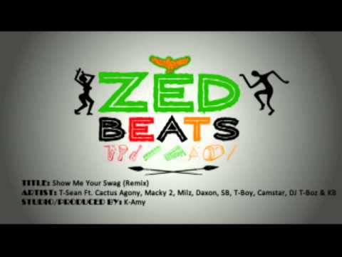 Show Me Your Swag (Remix) - T-Sean Ft. Various Artists
