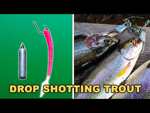 How To Drop Shot For Trout - In Depth Trout Fishing How To
